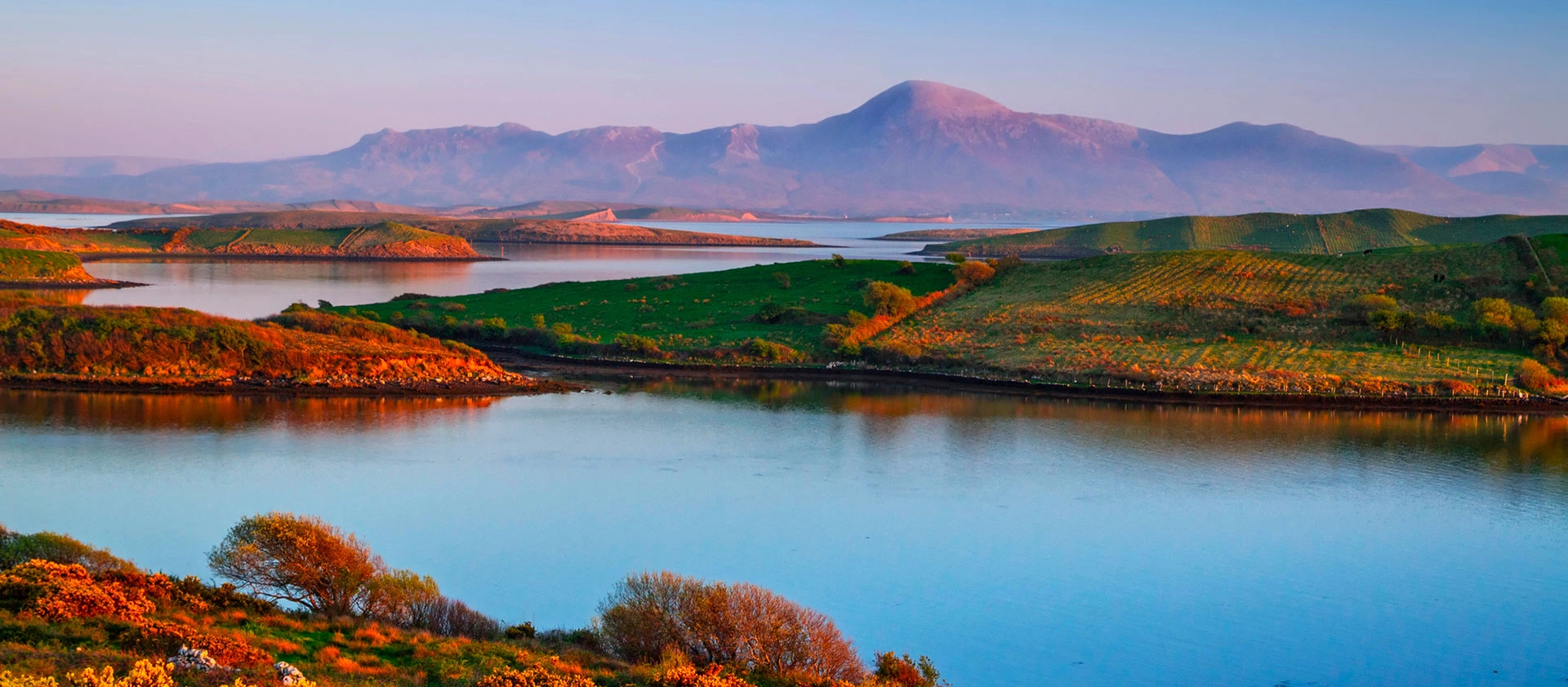 Knock in a private jet