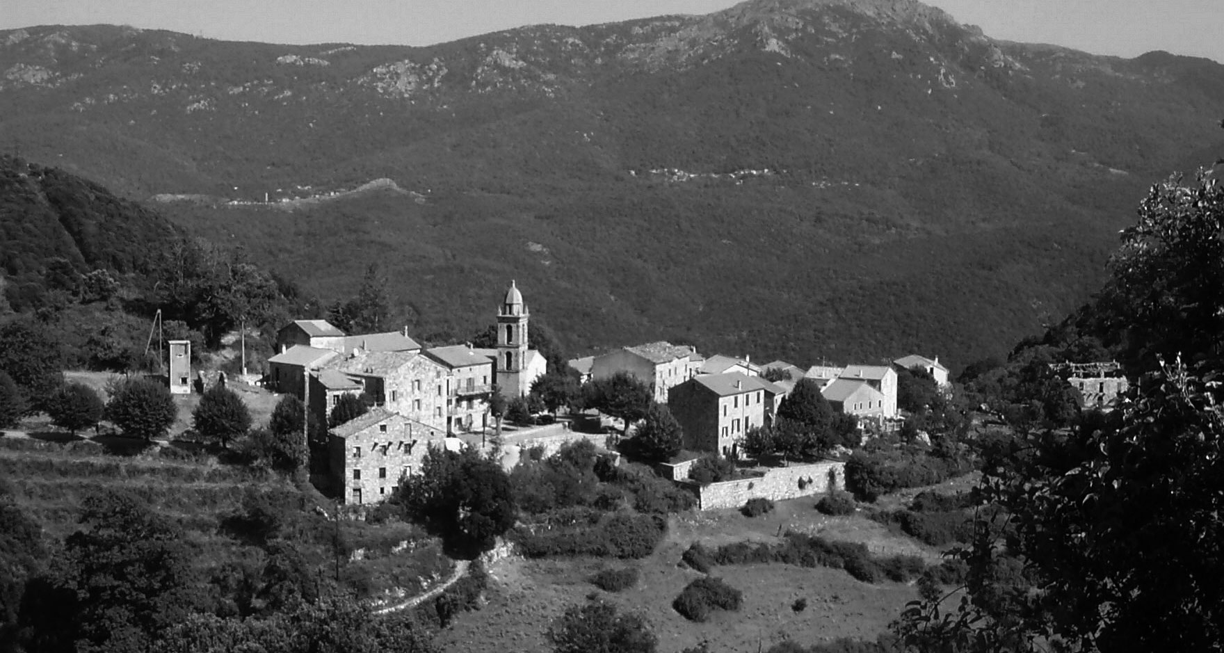 Figari by private jet