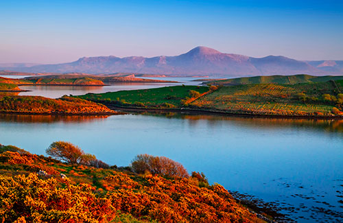 Knock in a private jet