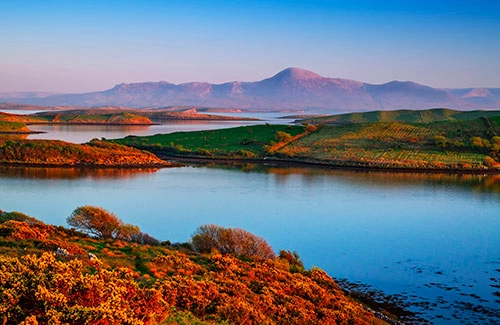 Knock in a private jet